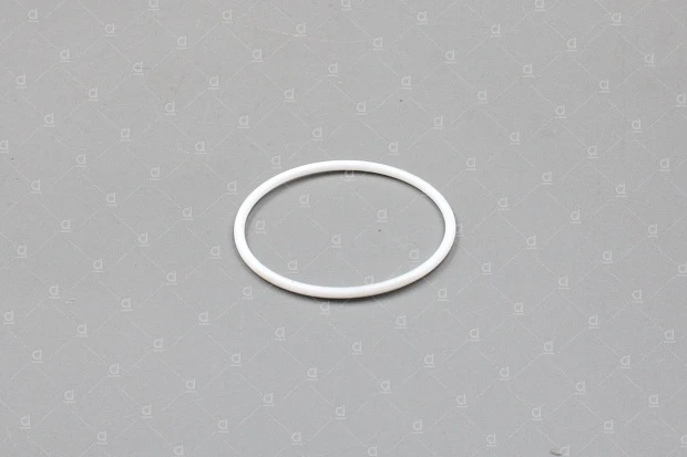 Уплотнительное кольцо крышки фильтра тонкой очистки окрасочного аппарата X51, X81 [1.04.02.30]